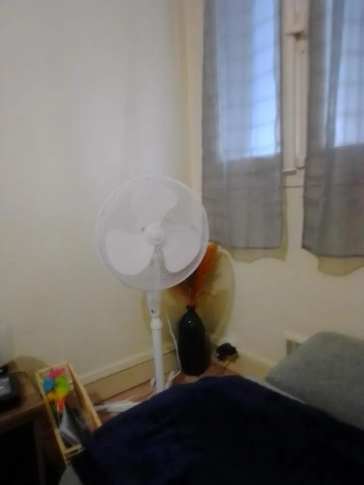 Appartement Entier De 40 M2 Proche Gare Auterive